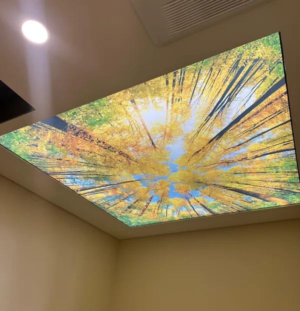 Autumn forest photoprint — stretch ceiling installed, final result