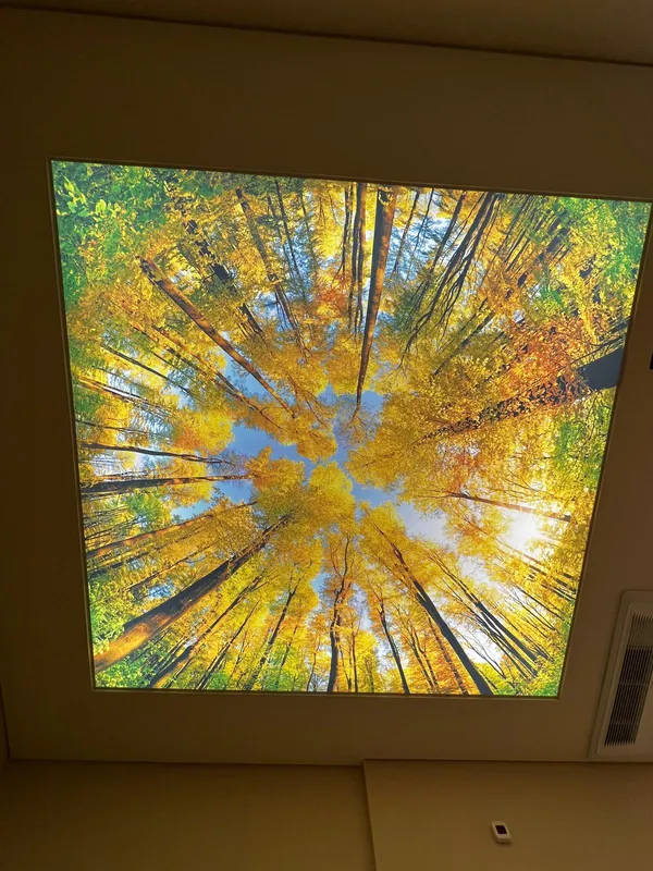 Autumn photoprint — residential room with backlight