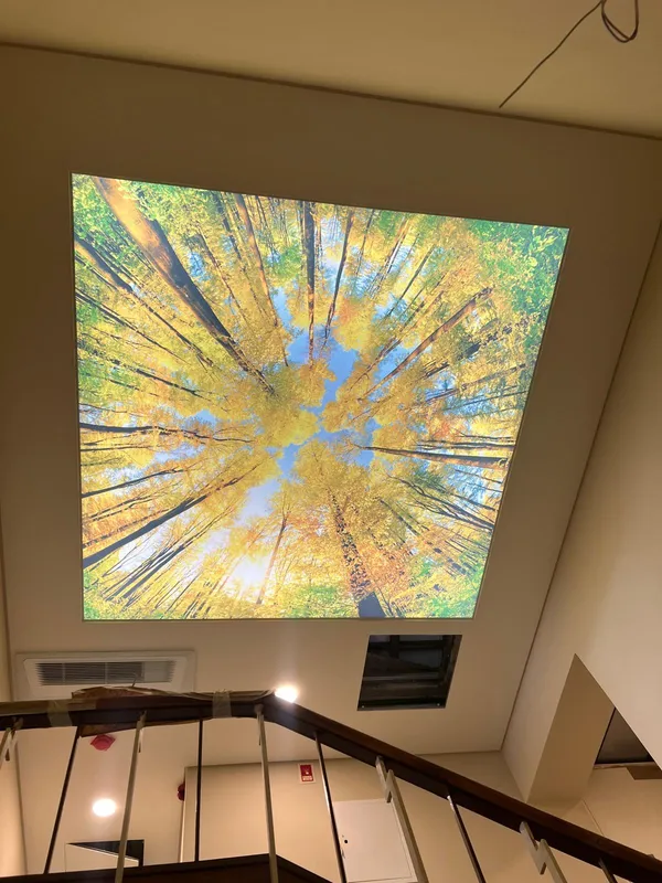 Autumn photoprint on staircase — view from below