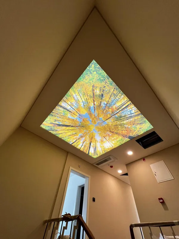 Autumn photoprint on staircase — full hall view