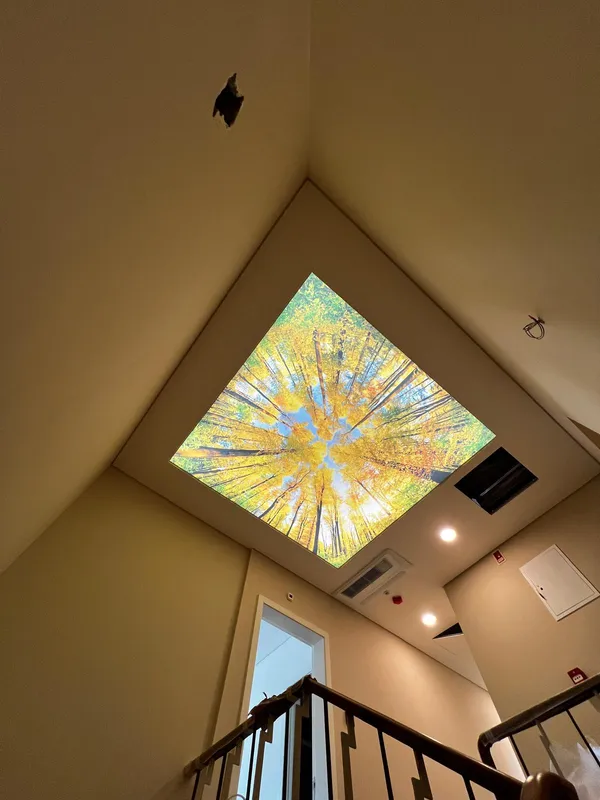 Autumn photoprint on staircase — close angle