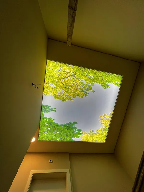 Green forest photoprint — residential room, dark angle