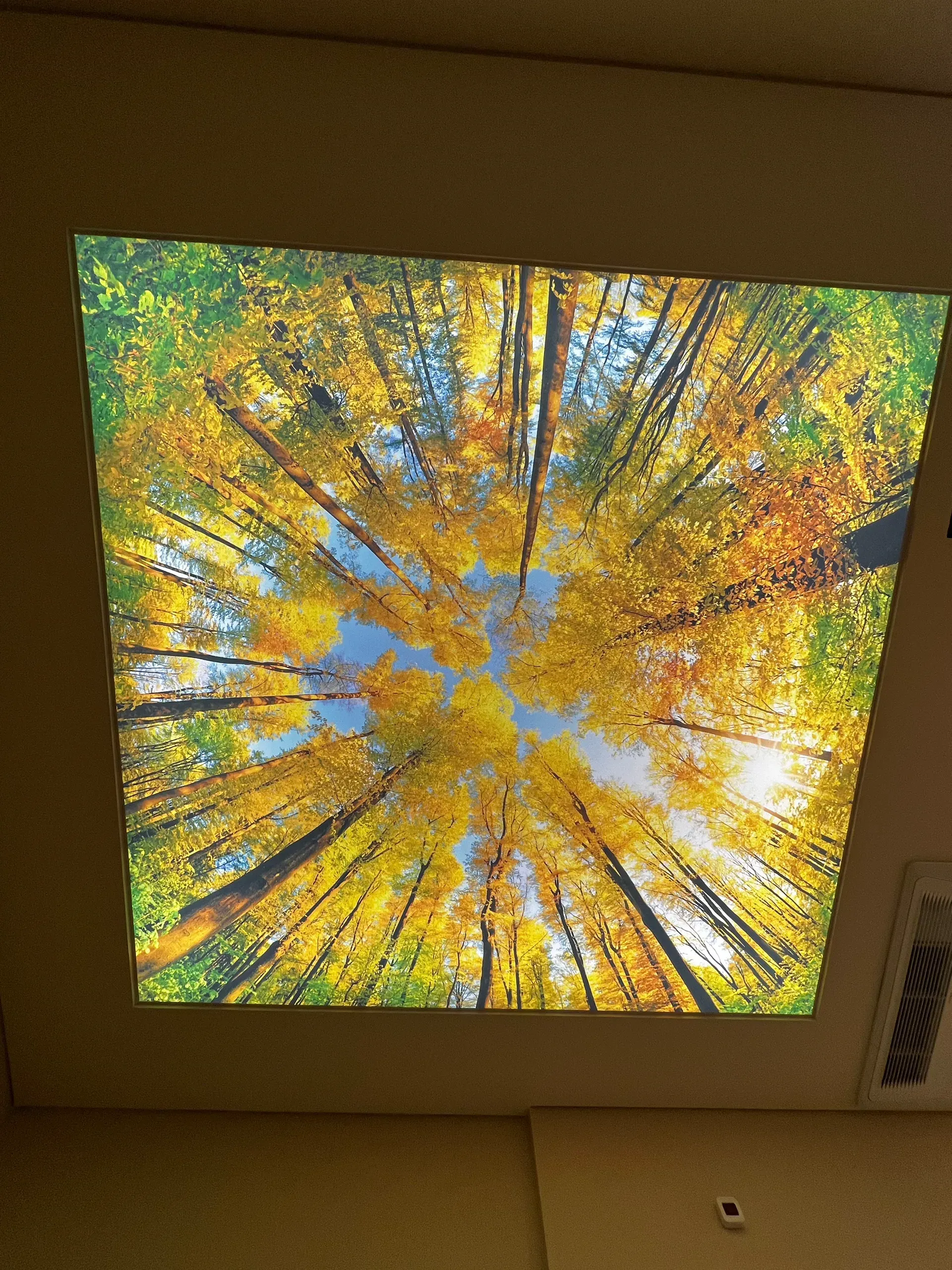 Натяжной потолок с фотопечатью — 10